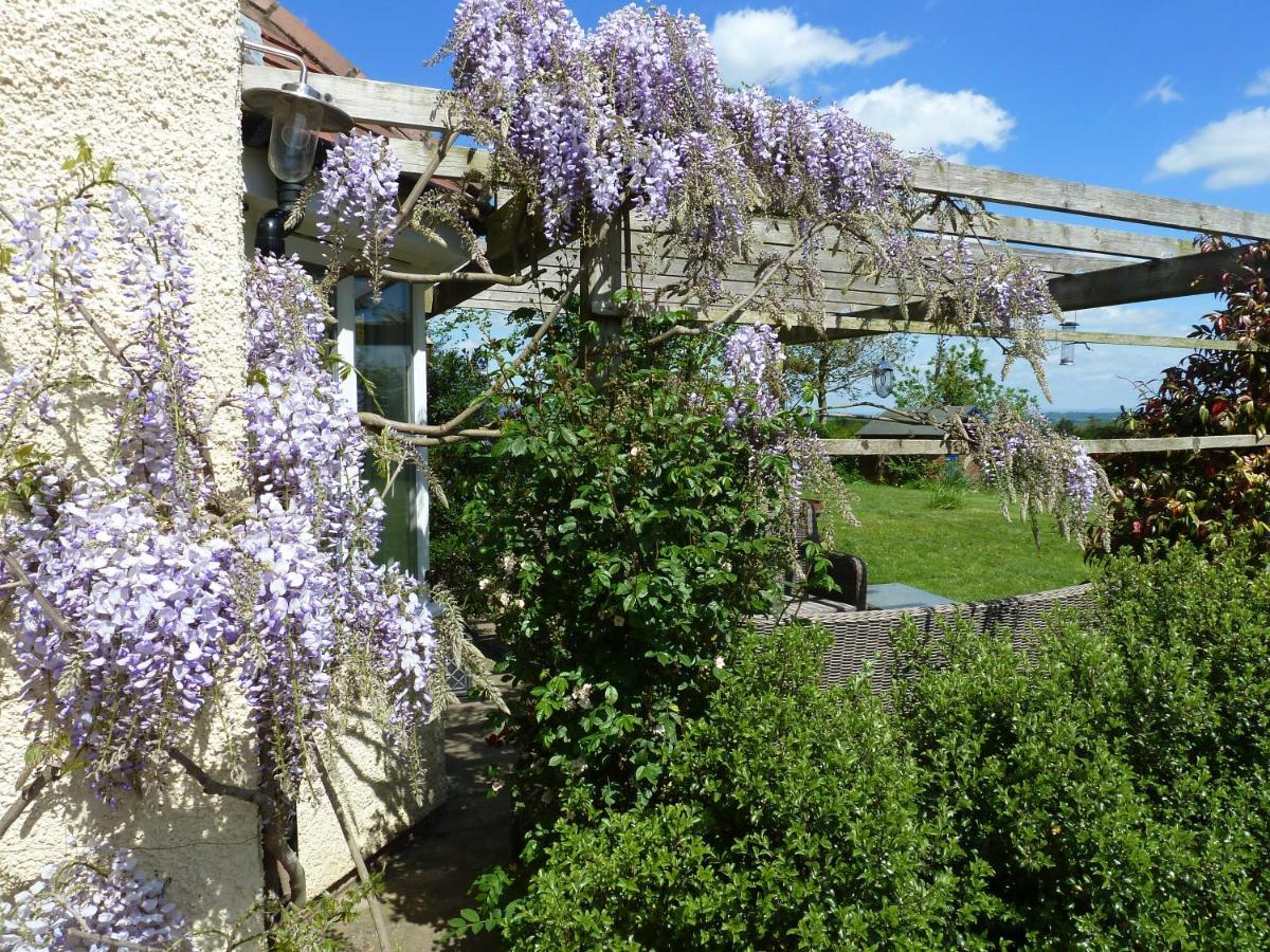 The Lodge, At Orchard Cottage Much Marcle Esterno foto
